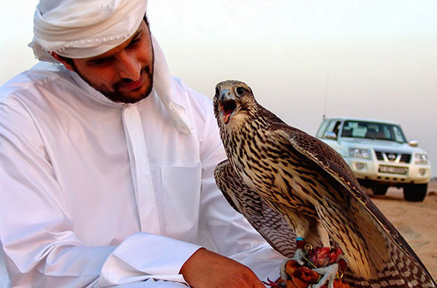 قاچاق پرندگان شکاری,اخبار اجتماعی,خبرهای اجتماعی,محیط زیست