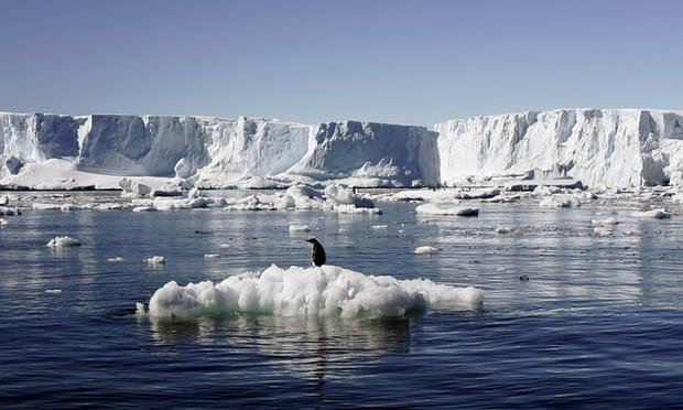 قطب جنوب,اخبار علمی,خبرهای علمی,طبیعت و محیط زیست