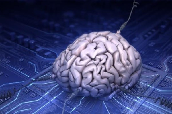 مغز,اخبار علمی,خبرهای علمی,اختراعات و پژوهش