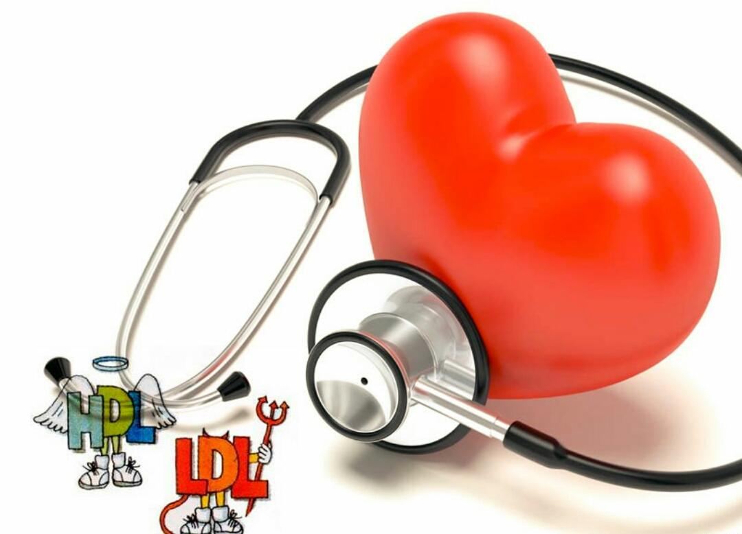 بالا بودن کلسترول خب بدن,اخبار پزشکی,خبرهای پزشکی,تازه های پزشکی