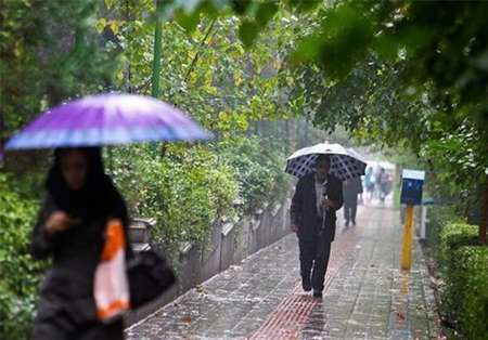 بارش باران,,اخبار اجتماعی,خبرهای اجتماعی,محیط زیست