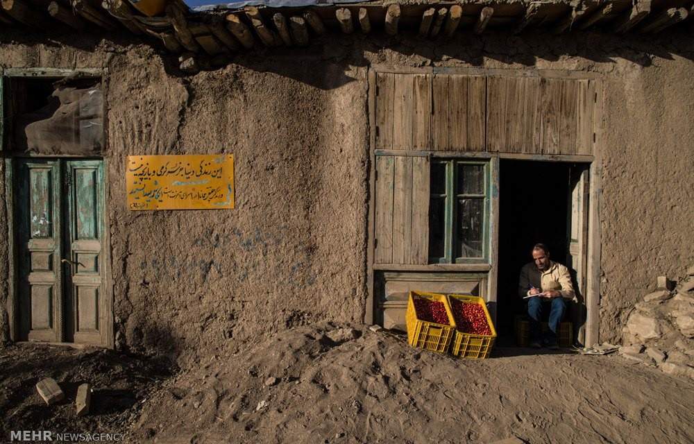 عکس پایتخت زغال اخته ایران,تصاویر پایتخت زغال اخته ایران,عکس روستای هیر