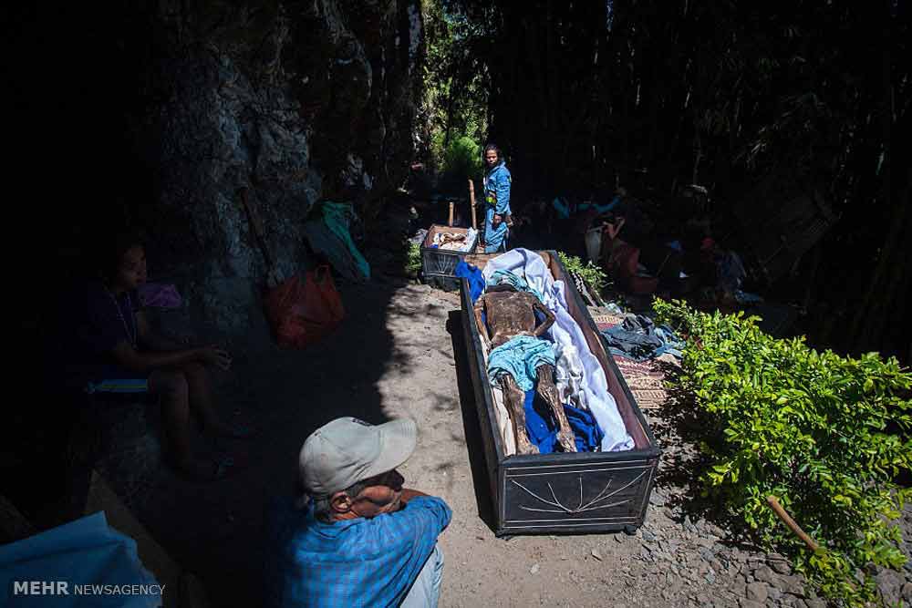 تصاویر خارج کردن مردگان از گور در اندونزی‎,تصویر خارج کردن مردگان از گور در اندونزی‎,عکس های خارج کردن مردگان از گور در اندونزی‎