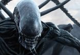 فیلم بیگانه,اخبار فیلم و سینما,خبرهای فیلم و سینما,اخبار سینمای جهان