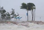 طوفان دریایی هاروی,اخبار حوادث,خبرهای حوادث,حوادث طبیعی