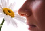 حس بویایی,اخبار پزشکی,خبرهای پزشکی,تازه های پزشکی