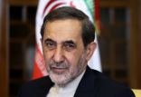 علی اکبر ولایتی,اخبار سیاسی,خبرهای سیاسی,سیاست خارجی