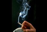 سیگار,اخبار پزشکی,خبرهای پزشکی,تازه های پزشکی