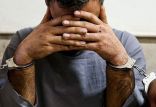 دستگیری,اخبار اجتماعی,خبرهای اجتماعی,حقوقی انتظامی