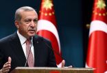 رجب طیب اردوغان,اخبار سیاسی,خبرهای سیاسی,اخبار بین الملل