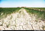 گيلان خشک‌,اخبار اجتماعی,خبرهای اجتماعی,محیط زیست