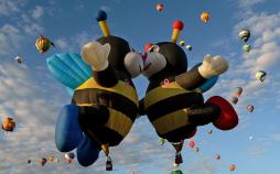 تصاویر اتفاقات دیدنی بیست و دوم مهر 96,عکسهای دیدنی 14 اکتبر 2017,عکسهای بیست و دوم مهر 1396