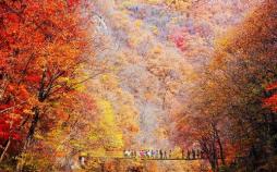 عکس جهان در فصل هزار رنگ پاییز, تصاویرجهان در فصل هزار رنگ پاییز,عکس دیدنی های روز