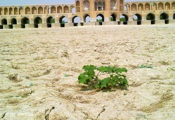 زاینده رود زاینده رود,اخبار اجتماعی,خبرهای اجتماعی,محیط زیست