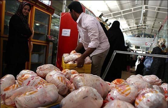 مرغ گرم مرغ گرم,اخبار اقتصادی,خبرهای اقتصادی,کشت و دام و صنعت