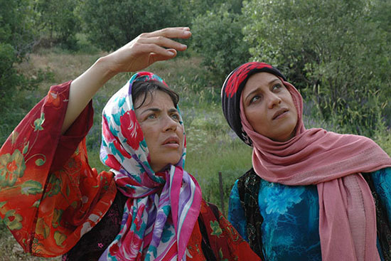 هما روستا,اخبار فیلم و سینما,خبرهای فیلم و سینما,سینمای ایران