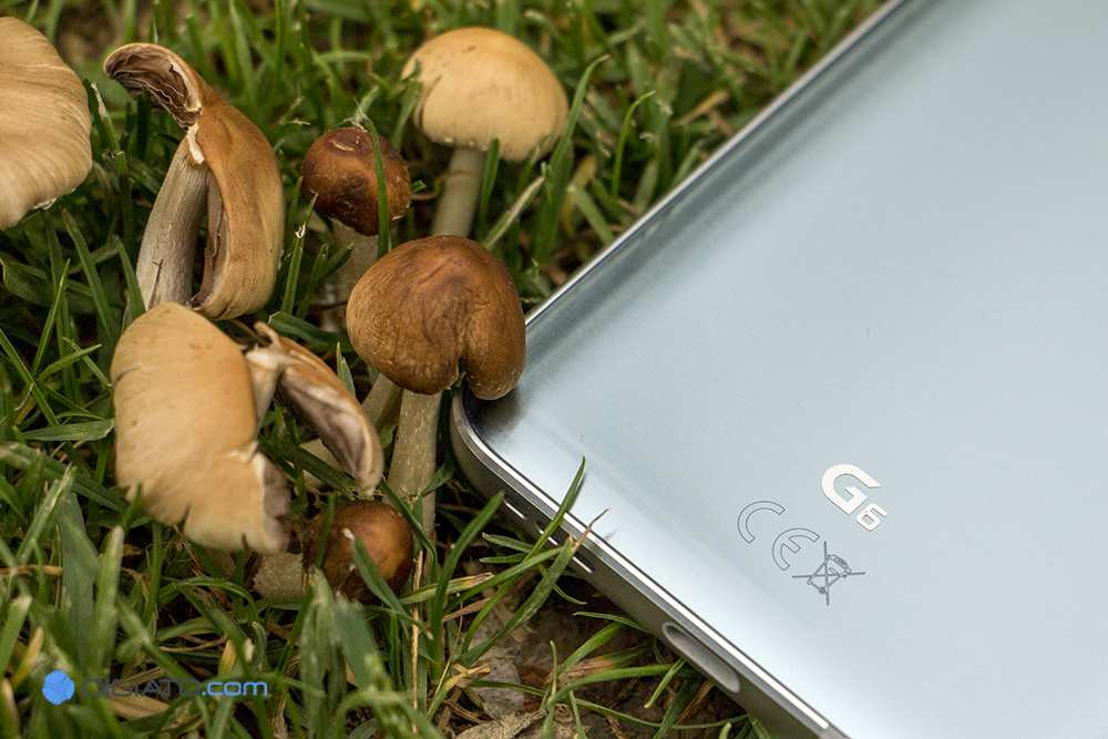 موبایل و تبلت،خبرهای دیجیتال،اخبار دیجیتال اخبار دیجیتال,خبرهای دیجیتال,موبایل و تبلت