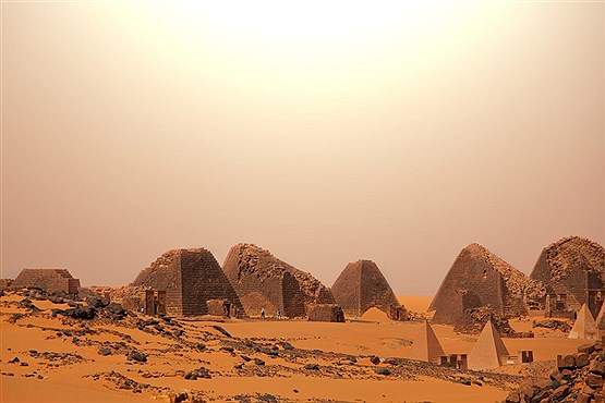 لویزون وود لویزون وود,اخبار اجتماعی,خبرهای اجتماعی,محیط زیست