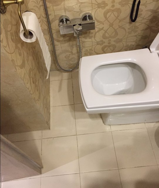 هتل,اخبار اجتماعی,خبرهای اجتماعی,محیط زیست