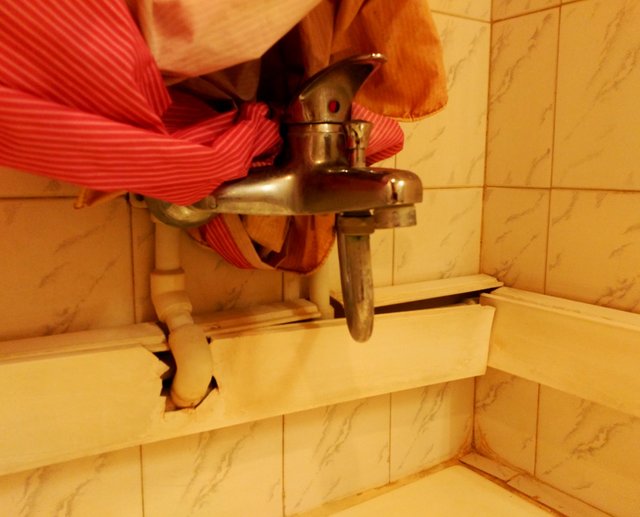 هتل هتل,اخبار اجتماعی,خبرهای اجتماعی,محیط زیست