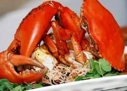 ,آبزیان حرام گوشت ,آبزیان حرام گوشت,اخبار اقتصادی,خبرهای اقتصادی,کشت و دام و صنعت