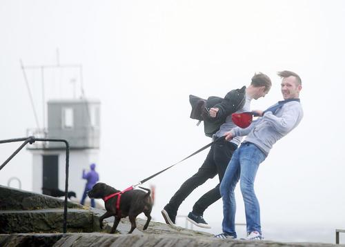 عکس دیدنی روز,تصاویر دیدنی روز,عکس دیدنی از بوکسورهای زن نروژی و سوئدی تا جشنواره جوانان در شهر سوچی