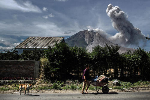 عکس دیدنی روز,تصاویر دیدنی روز,عکس دیدنی از بوکسورهای زن نروژی و سوئدی تا جشنواره جوانان در شهر سوچی