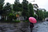 بارش باران در رشت,اخبار اجتماعی,خبرهای اجتماعی,محیط زیست