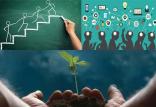کارآفرینی,اخبار اجتماعی,خبرهای اجتماعی,جامعه