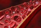 پلاکت خون,اخبار پزشکی,خبرهای پزشکی,مشاوره پزشکی