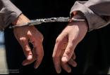 دستگیری,اخبار حوادث,خبرهای حوادث,جرم و جنایت