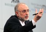 صالحی,اخبار سیاسی,خبرهای سیاسی,سیاست خارجی