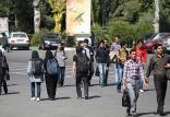 بیکاری فارغ التحصیل,اخبار اشتغال و تعاون,خبرهای اشتغال و تعاون,اشتغال و تعاون