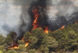 آتش سوزی‌ جنگل,اخبار اجتماعی,خبرهای اجتماعی,محیط زیست