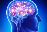 مغز انسان,اخبار پزشکی,خبرهای پزشکی,تازه های پزشکی
