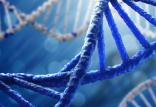 دی ان ای,اخبار پزشکی,خبرهای پزشکی,تازه های پزشکی