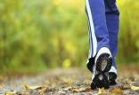پیاده روی,اخبار پزشکی,خبرهای پزشکی,مشاوره پزشکی