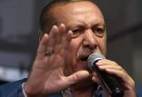 رجیب طیب اردوغان,اخبار سیاسی,خبرهای سیاسی,خاورمیانه