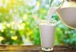 تولید شیری با طعم دوغ,اخبار علمی,خبرهای علمی,پژوهش