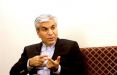 سیدمحمد حسین عادلی,اخبار اقتصادی,خبرهای اقتصادی,نفت و انرژی
