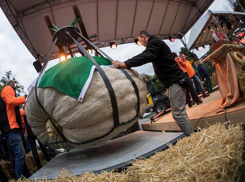 دیدنی های امروز دوشنبه,تصاویر دیدنی امروز 17 مهر 1396,تصاویر جذاب امروز,