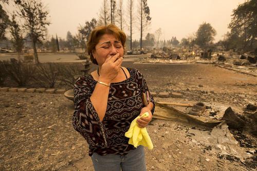 دیدنی های امروز,تصاویر جذاب امروز18مهر,عکسهای دیدنی امروز سه شنبه 18مهر1396,