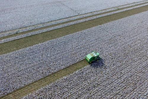 دیدنی های امروز,تصاویر جذاب امروز18مهر,عکسهای دیدنی امروز سه شنبه 18مهر1396,