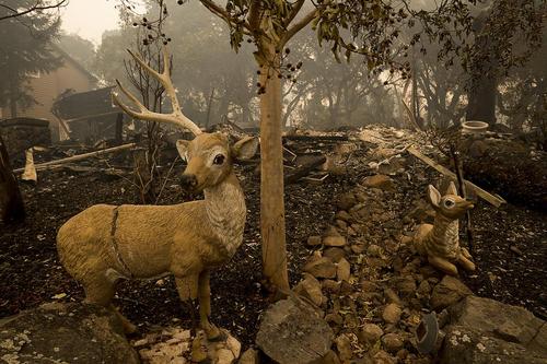 عکس جهان در فصل هزار رنگ پاییز, تصاویرجهان در فصل هزار رنگ پاییز,عکس دیدنی های روز