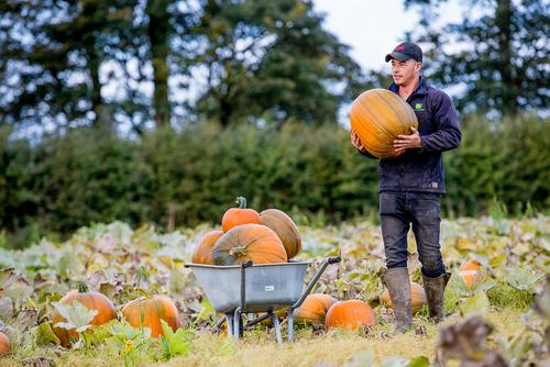عکس جهان در فصل هزار رنگ پاییز, تصاویرجهان در فصل هزار رنگ پاییز,عکس دیدنی های روز