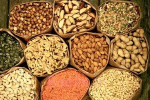دانههای مغزی دانههای مغزی,اخبار پزشکی,خبرهای پزشکی,مشاوره پزشکی
