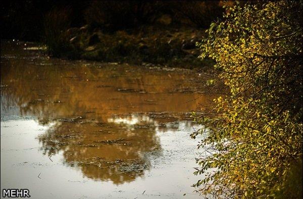 طرح گاپ ترکیه طرح گاپ ترکیه,اخبار اجتماعی,خبرهای اجتماعی,محیط زیست