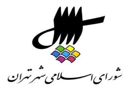 شورای شهر تهران,اخبار اجتماعی,خبرهای اجتماعی,شهر و روستا