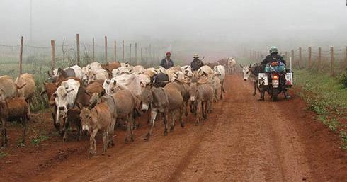 عکس های کشورهای آفریقایی,اخبار جالب,خبرهای جالب,خواندنی ها و دیدنی ها