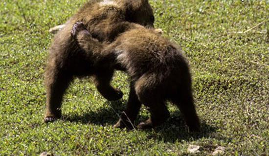 عکس های کشورهای آفریقایی,اخبار جالب,خبرهای جالب,خواندنی ها و دیدنی ها